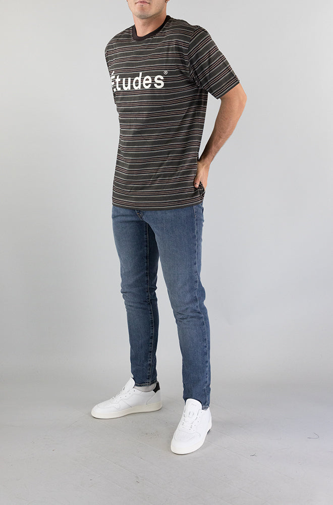 T-Shirt Etudes Striped da Uomo 101A21S1