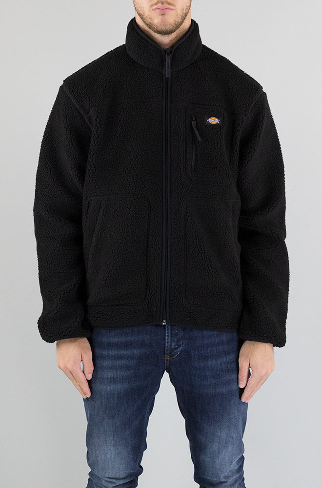 Felpa Dickies Blk1 da Uomo DK0A4YEE