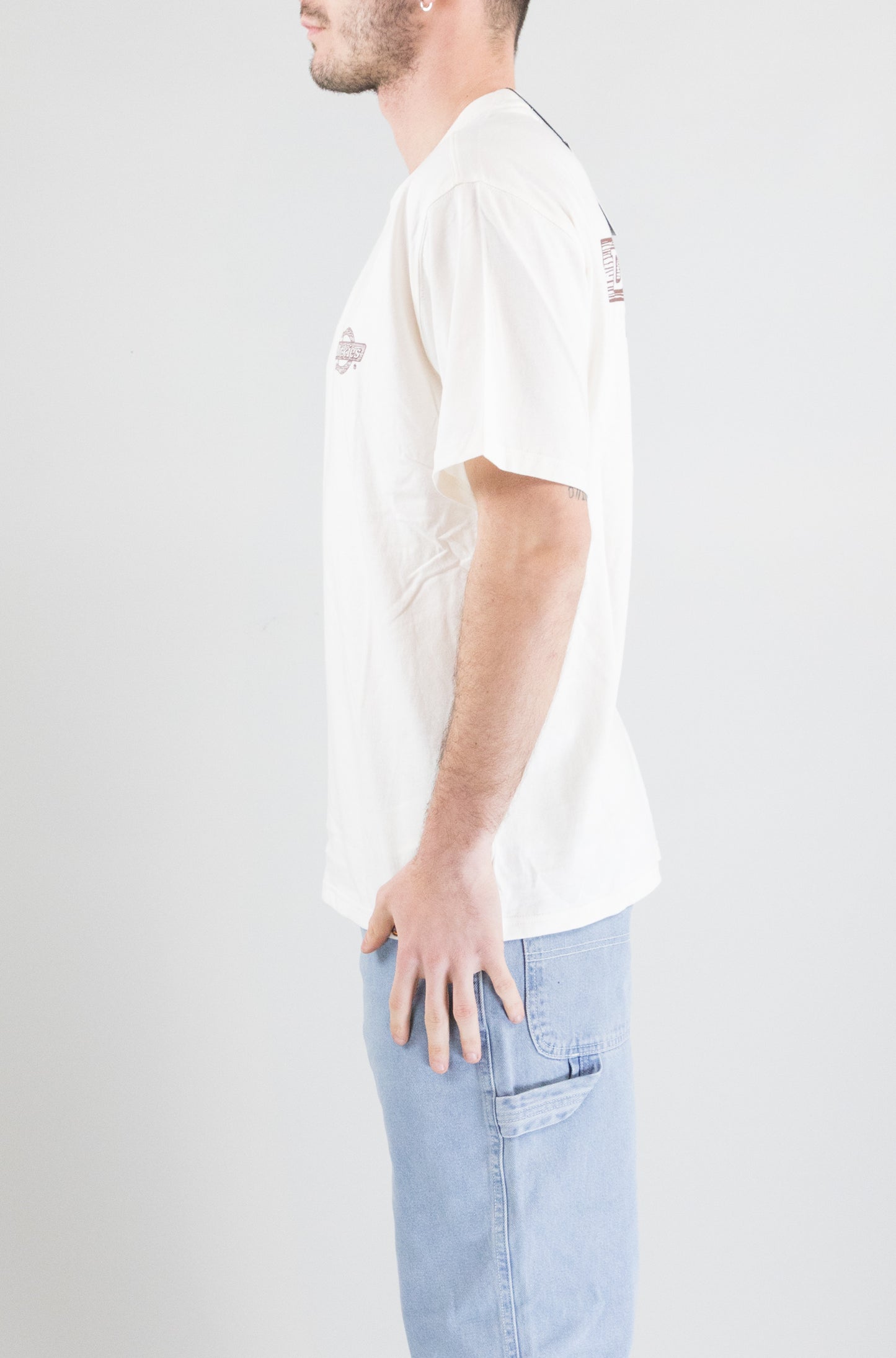 T-Shirt Dickies Egret da Uomo wood logo tee