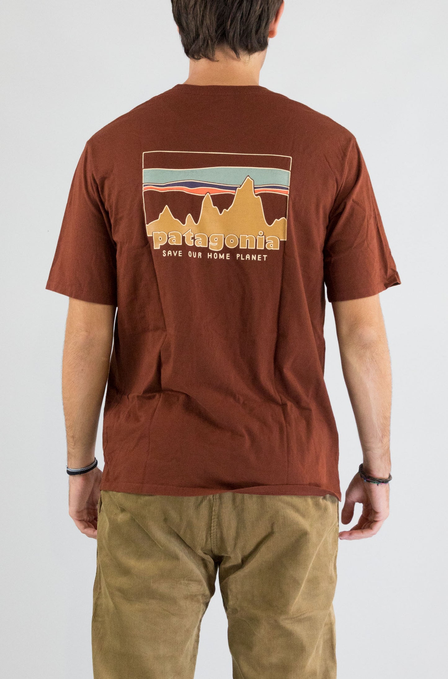 T-Shirt Patagonia Dvl da Uomo 37534 73 skyline