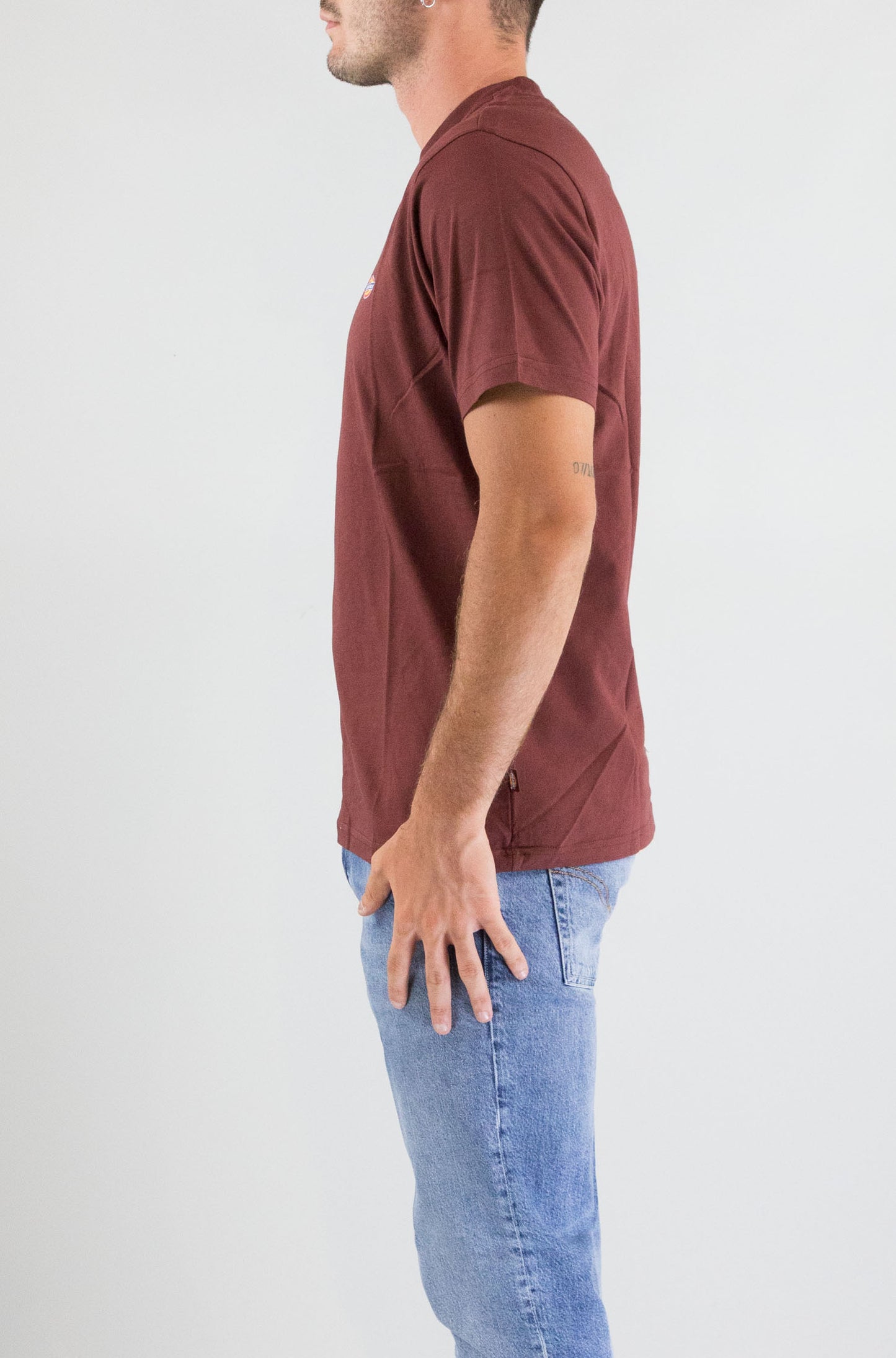 T-Shirt Dickies Andorra da Uomo dk0a4xdbl16