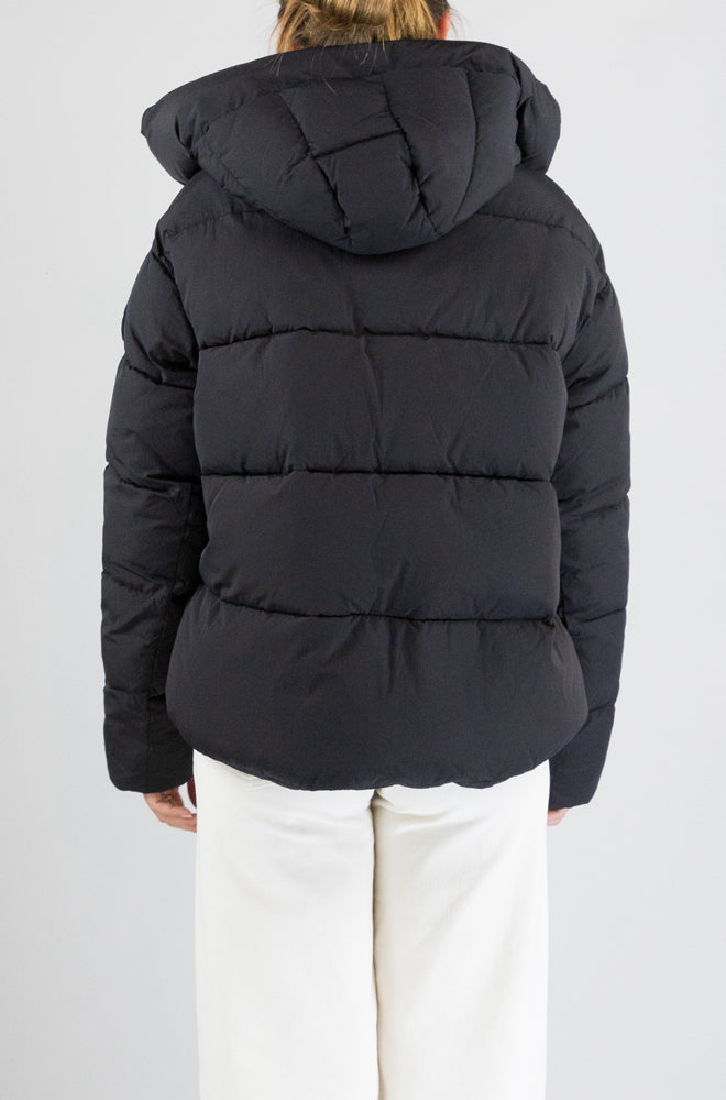 Piumino Pinko Nero da Donna giza