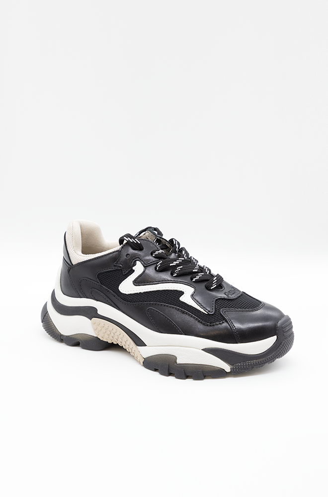 Scarpa Ash Black Eggnung da Donna addict02