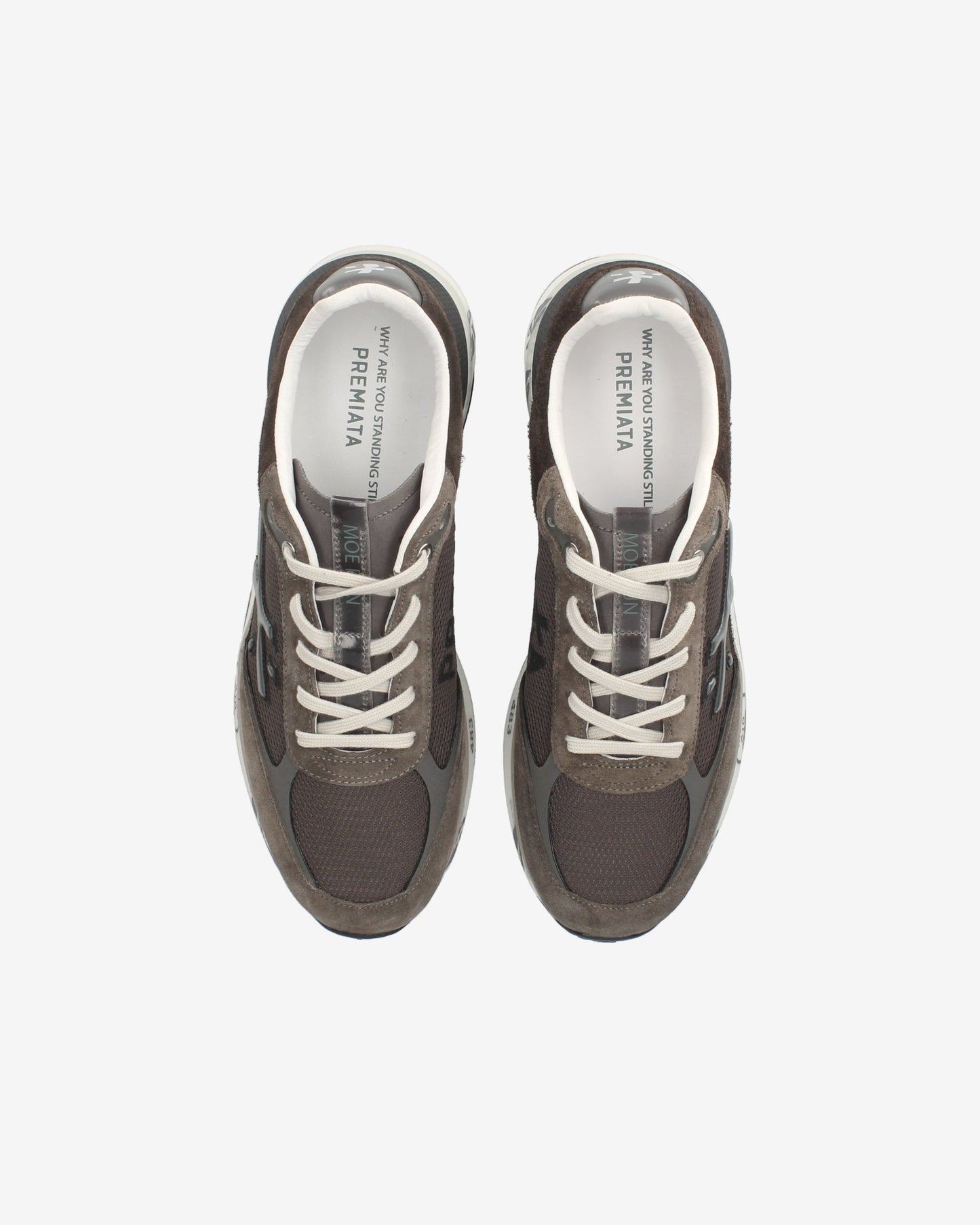 Scarpa Premiata 6446 da Uomo moerun