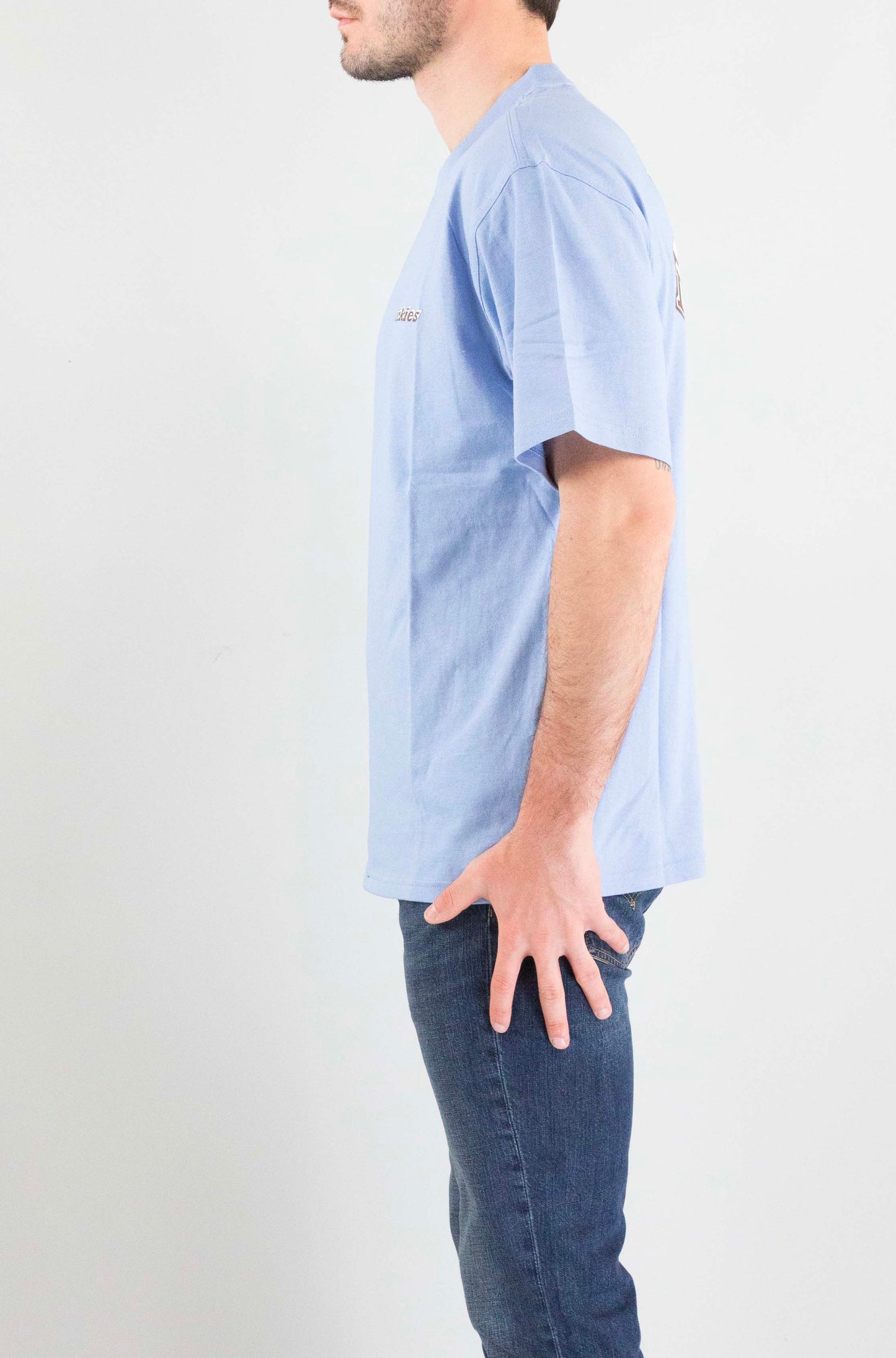 T-Shirt Dickies L391 da Uomo dk0a8854l39