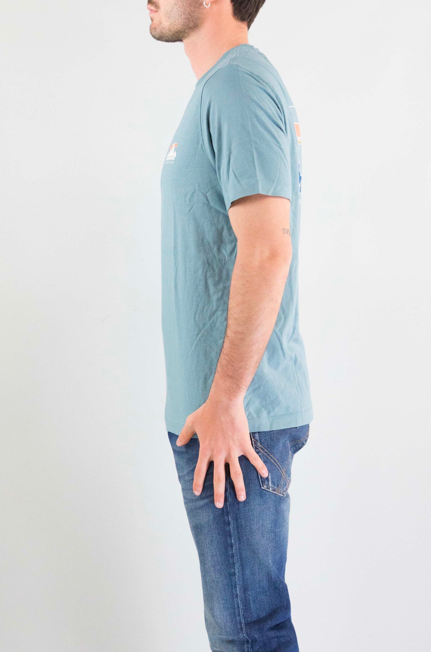 T-Shirt Patagonia Blsg da Uomo 37841 ms 73 skyline