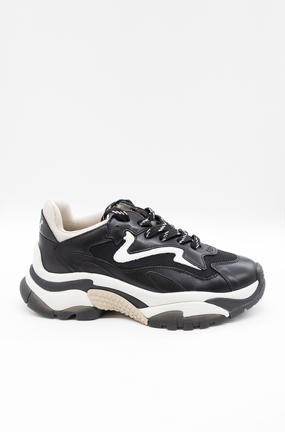Scarpa Ash Black Eggnung da Donna addict02