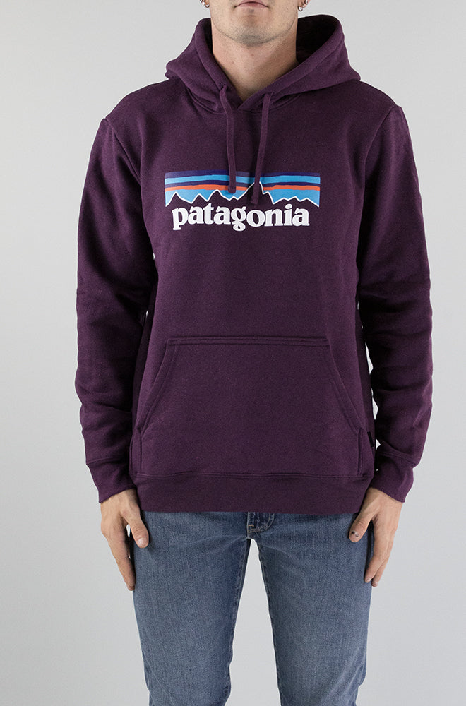 Felpa Patagonia Ntpl da Uomo 39622