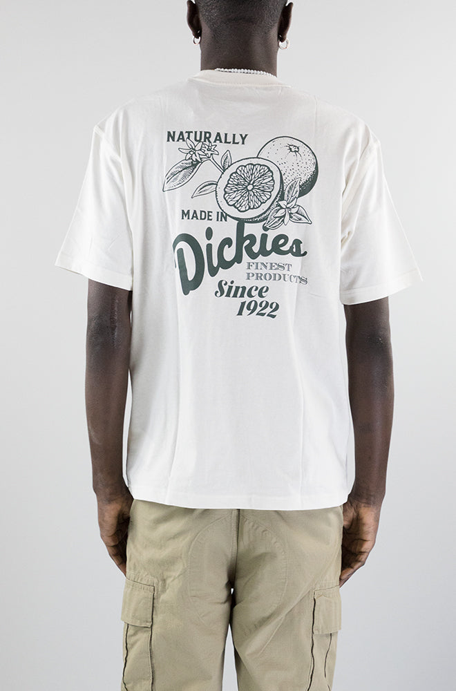 T-Shirt Dickies Mc58 da Uomo dk0a4yy