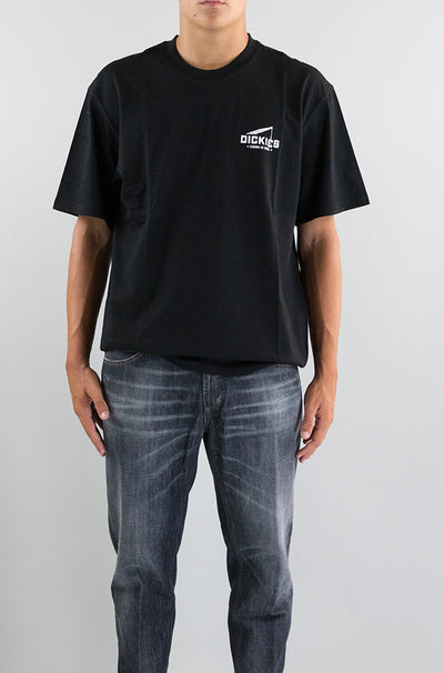 T-Shirt Dickies Blk1 da Uomo dk0a8639