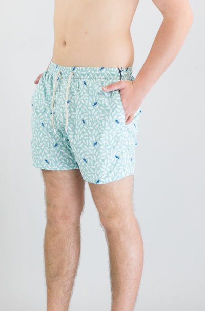 Costume Mc2 Saint Barth Seahorses Pattern da Uomo comfort light
