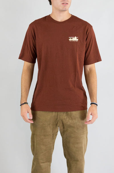 T-Shirt Patagonia Dvl da Uomo 37534 73 skyline