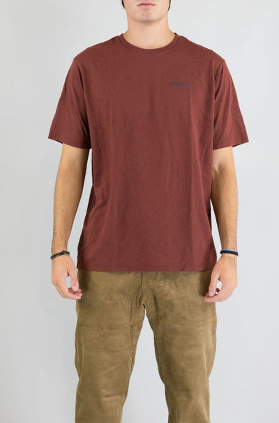 T-Shirt Patagonia Dvl da Uomo 37838 roy icon