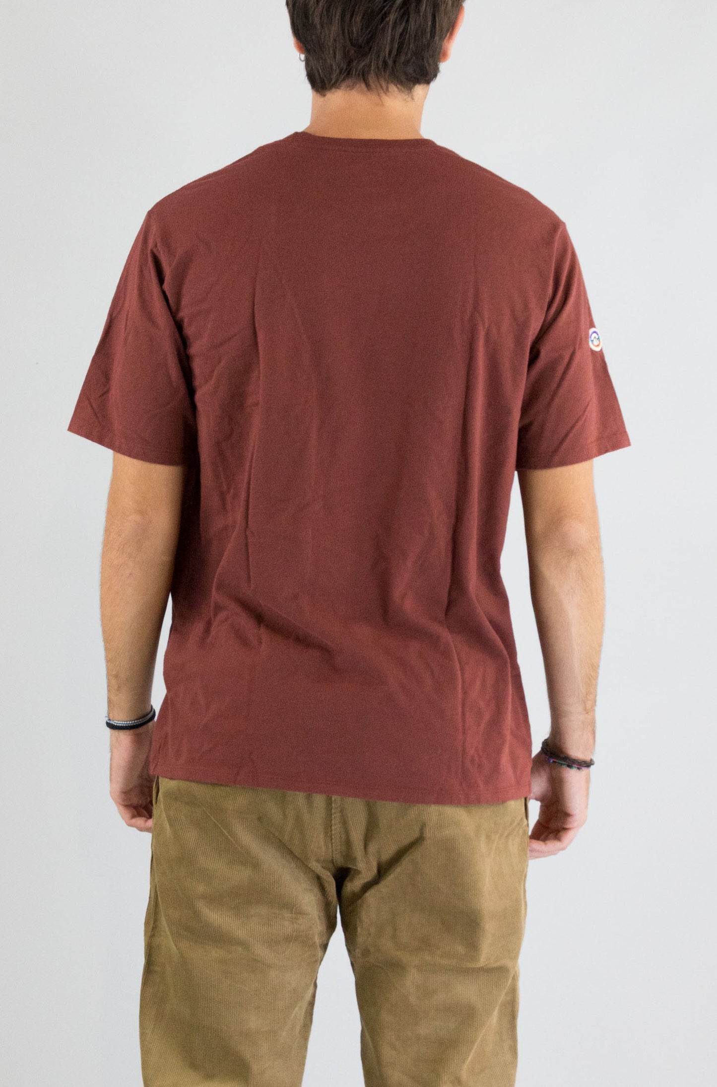 T-Shirt Patagonia Dvl da Uomo 37838 roy icon