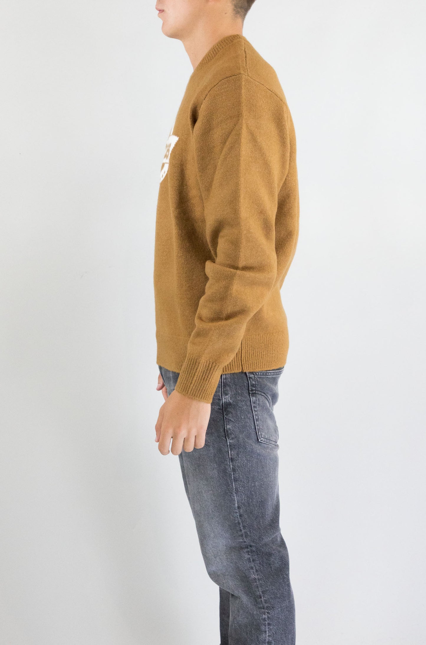 Maglia Dickies Brown Duck da Uomo dk0a87oq