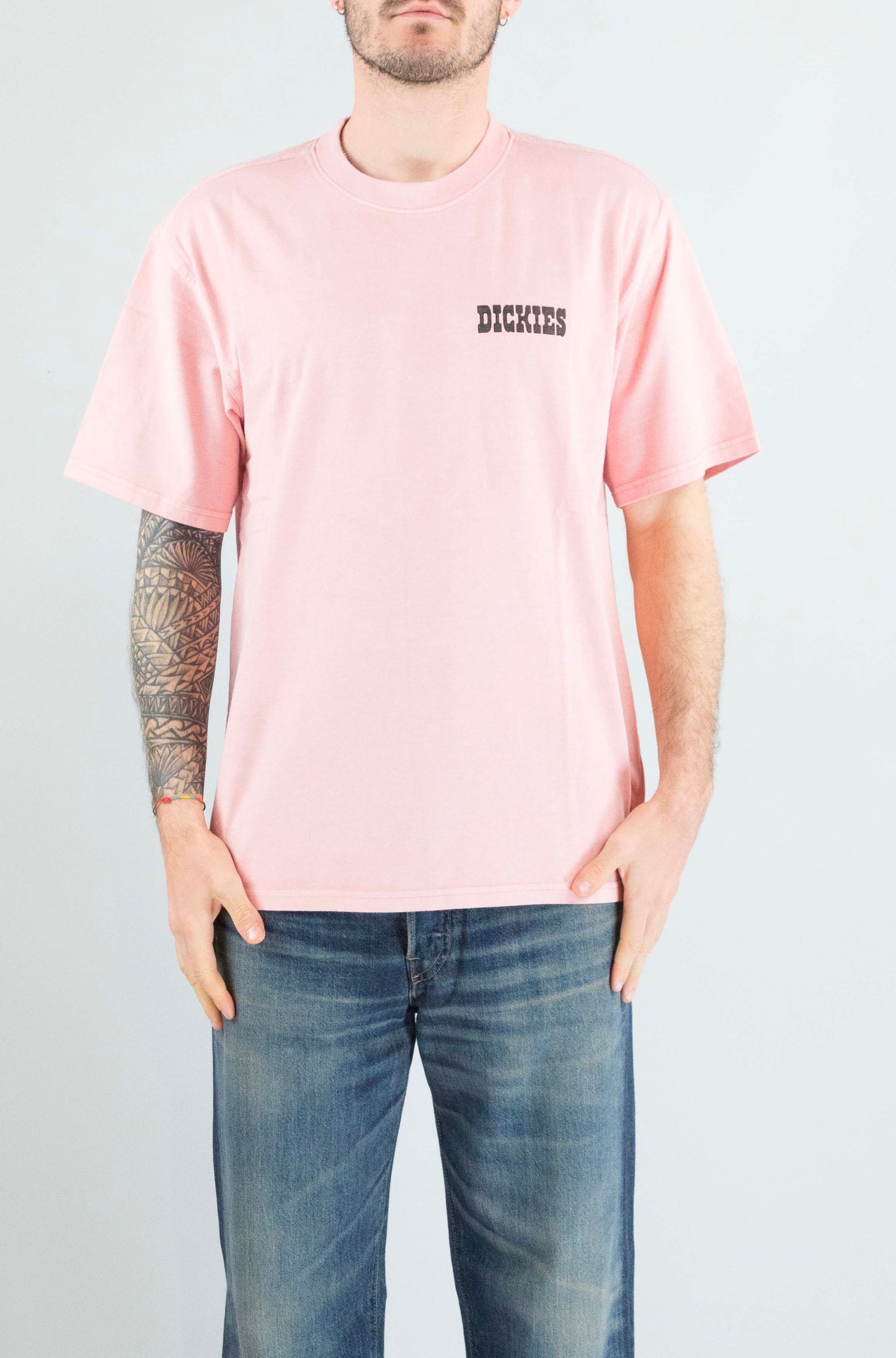 T-Shirt Dickies Rose da Uomo dk0a883bl