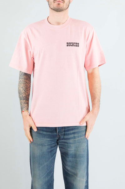 T-Shirt Dickies Rose da Uomo dk0a883bl