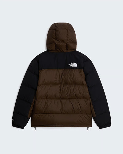 Giubbotto The North Face Dark Chestnut da Uomo nf0a4qyxrm hmlyn down
