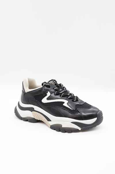 Scarpa Ash Black Eggnung da Donna addict02