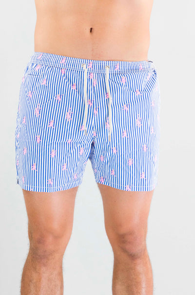 Costume Mc2 Saint Barth Monkeys Stripes da Uomo lighting micro stretch