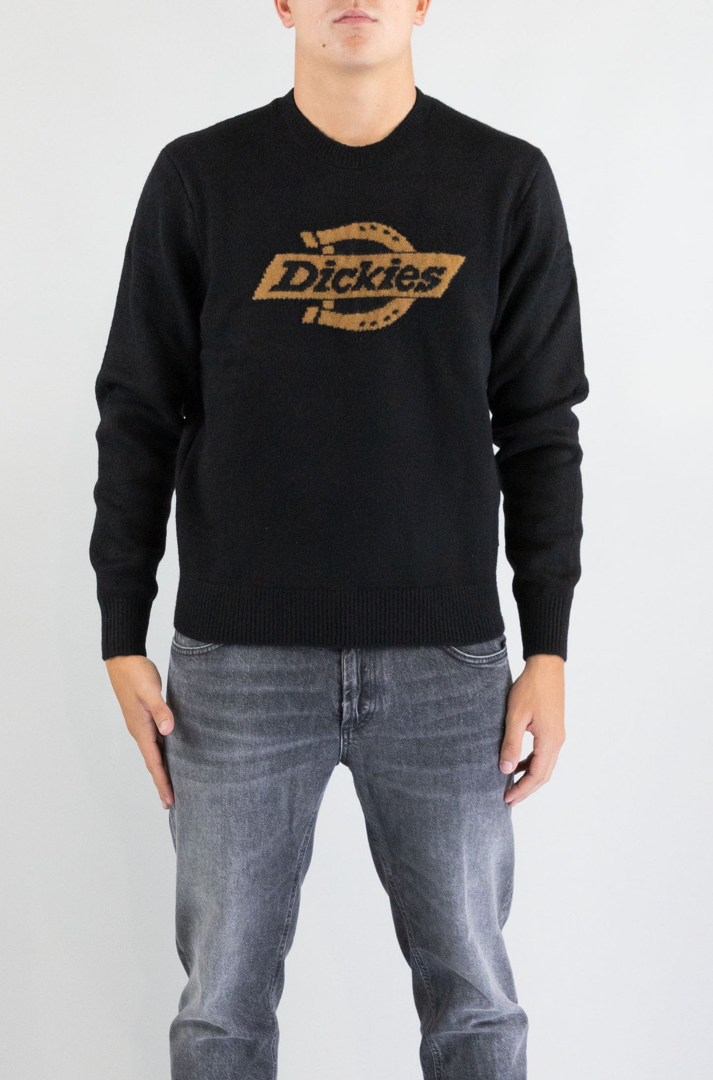 Maglia Dickies Black da Uomo dk0a87oq