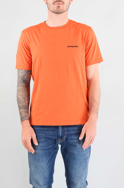 T-Shirt Patagonia Clor da Uomo 37882 ms p6 logo