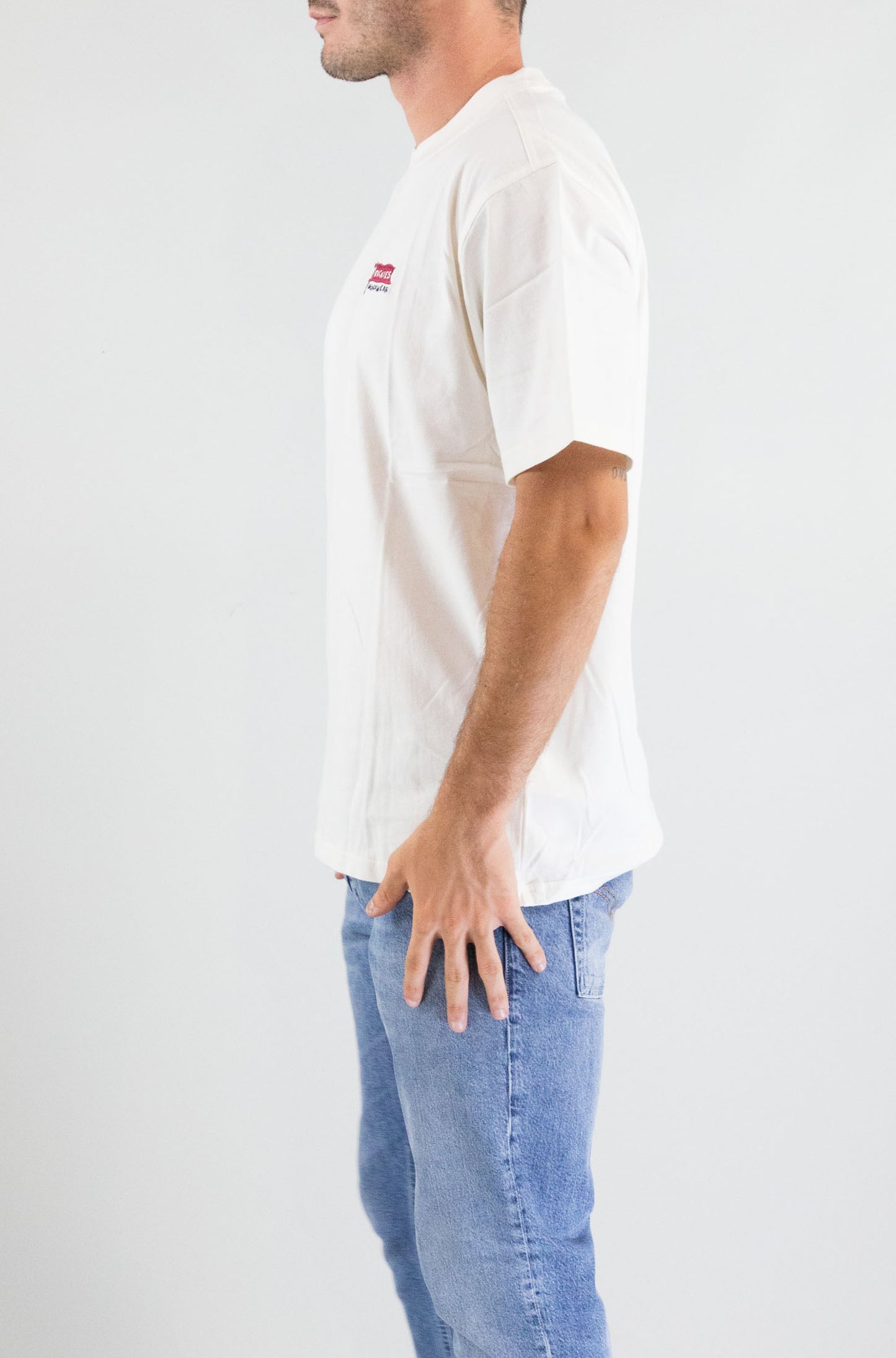 T-Shirt Dickies Egret da Uomo dk0a87qdc481