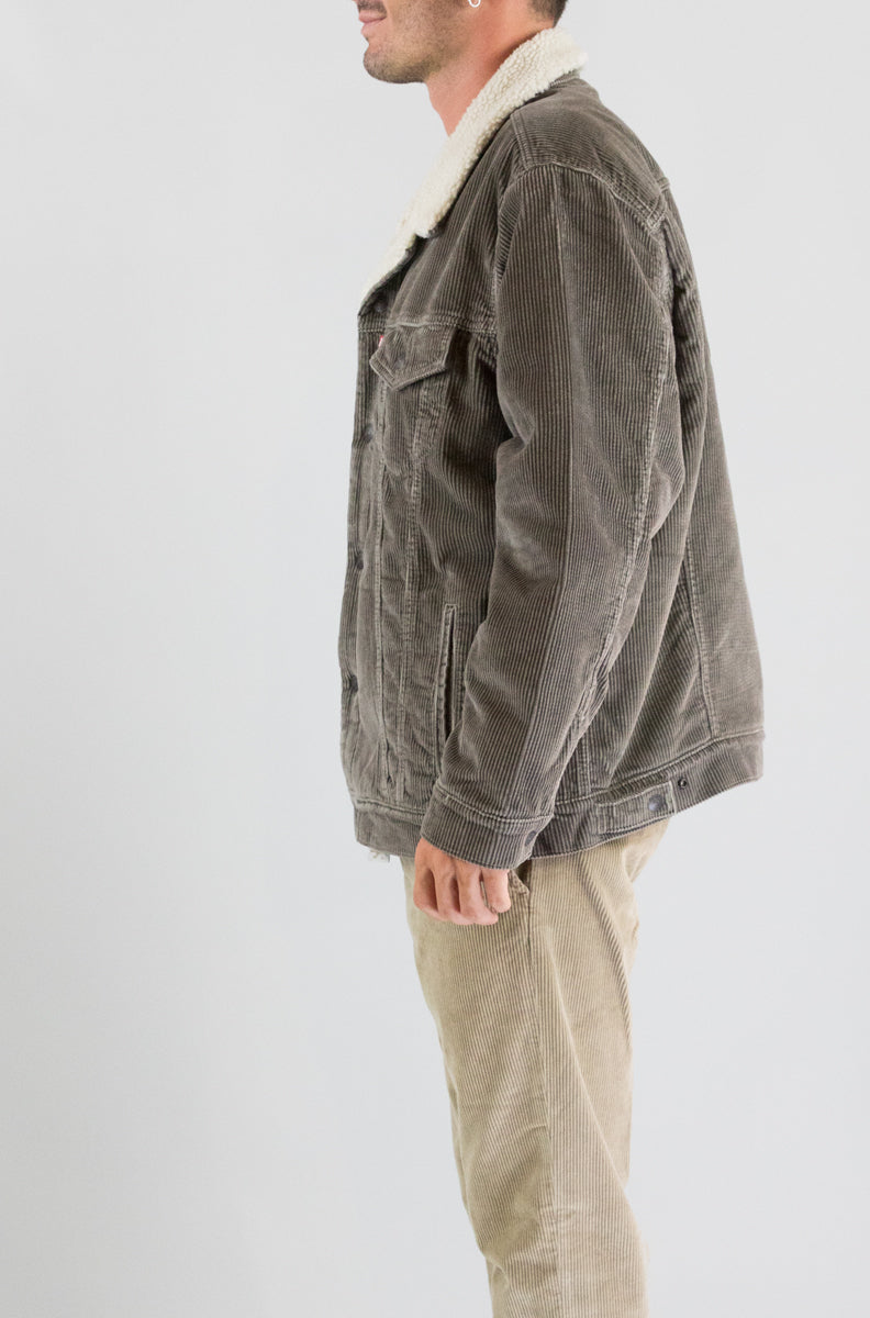 Giubbotto Levis  Taupe da Uomo a578400620 relaxed fit sherpa trkr