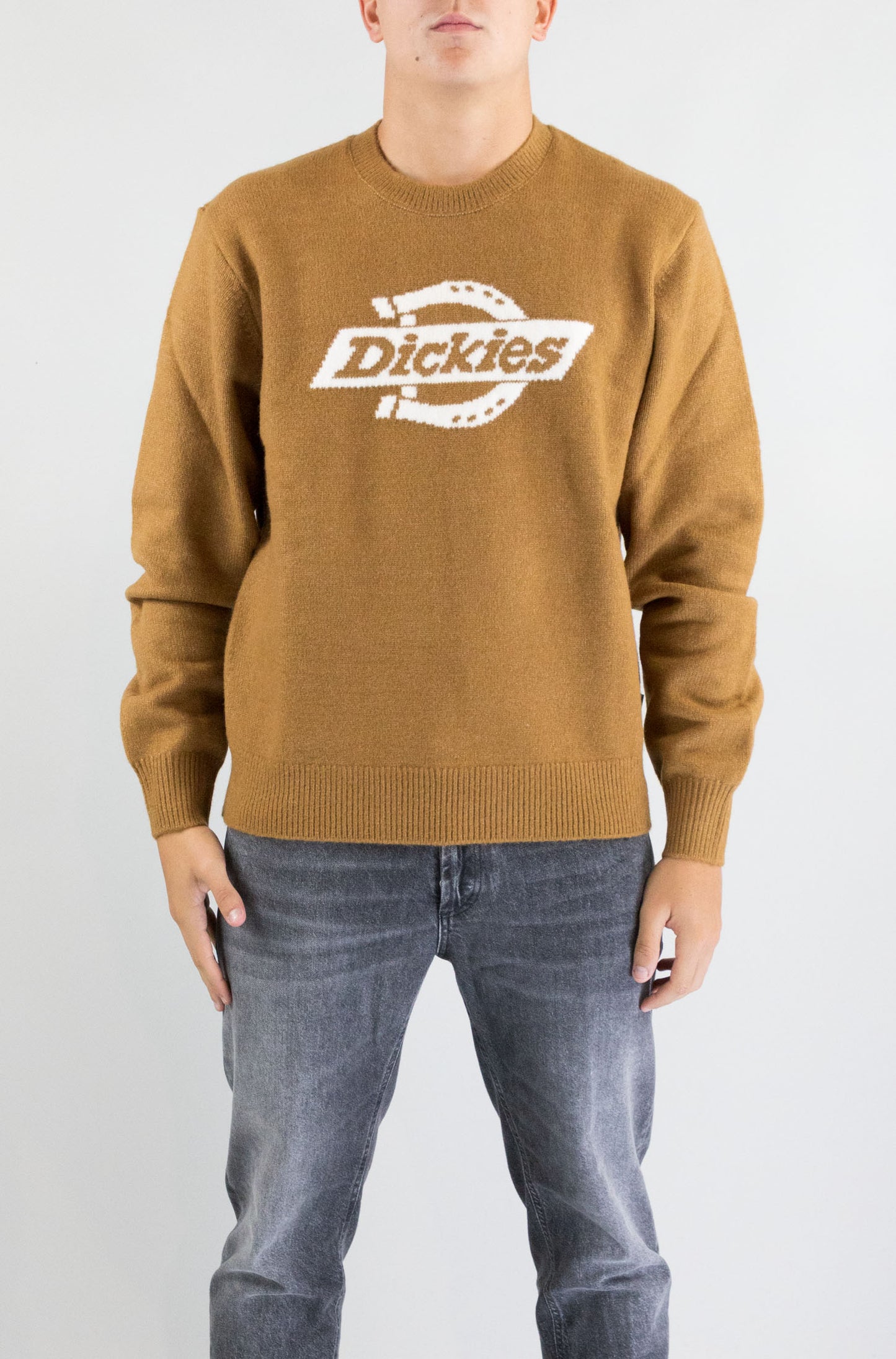 Maglia Dickies Brown Duck da Uomo dk0a87oq