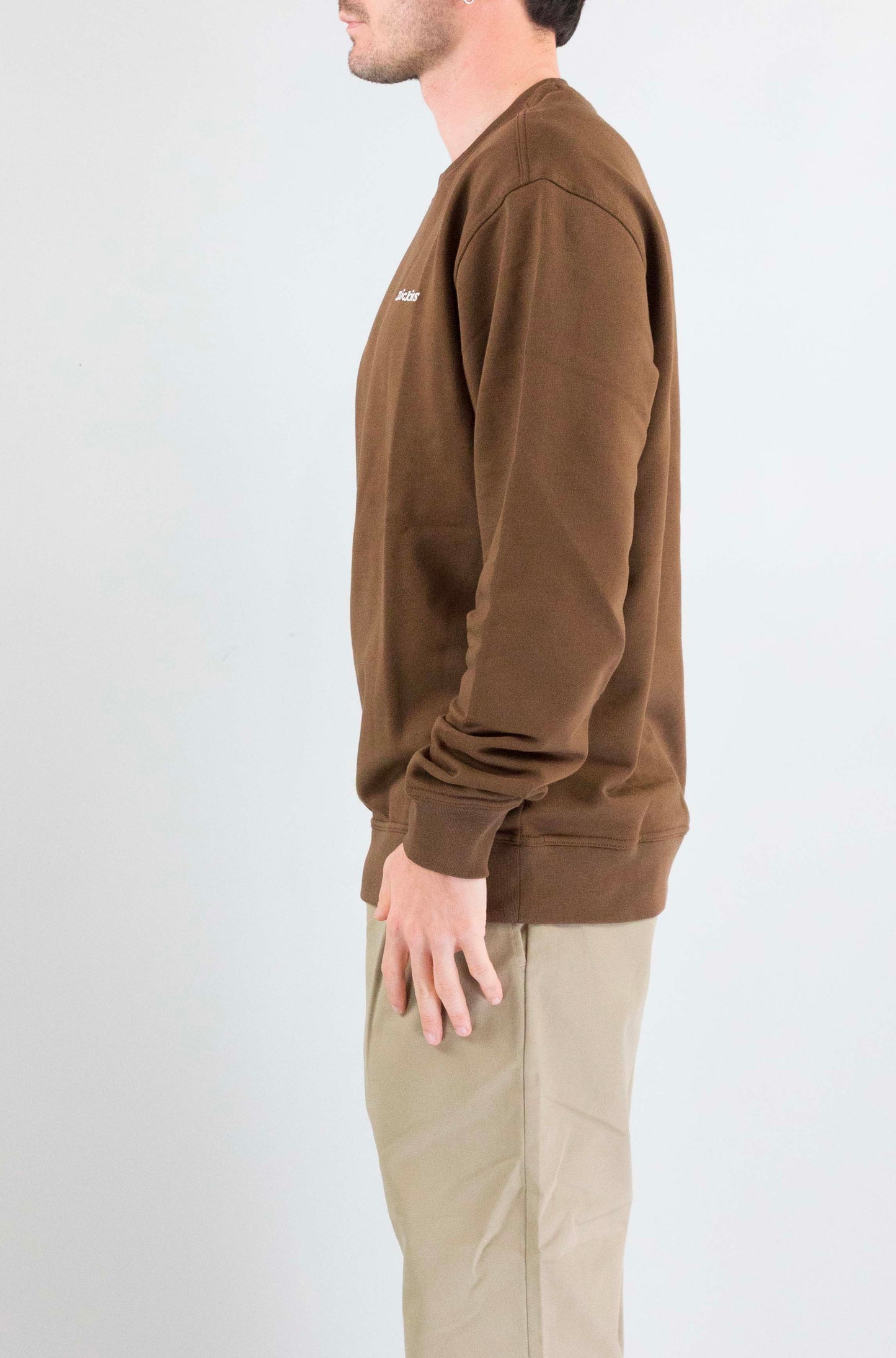Felpa Dickies Timber da Donna dk0a88oc0tb loretto