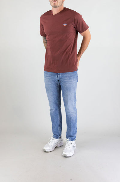 T-Shirt Dickies Andorra da Uomo dk0a4xdbl16