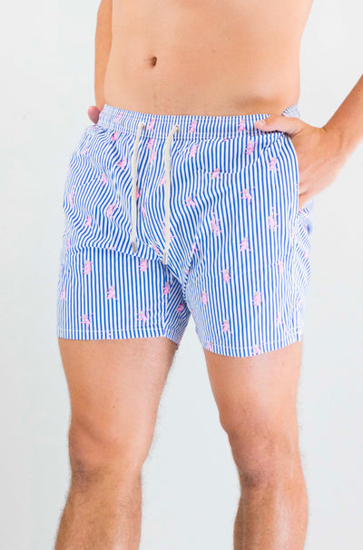 Costume Mc2 Saint Barth Monkeys Stripes da Uomo lighting micro stretch